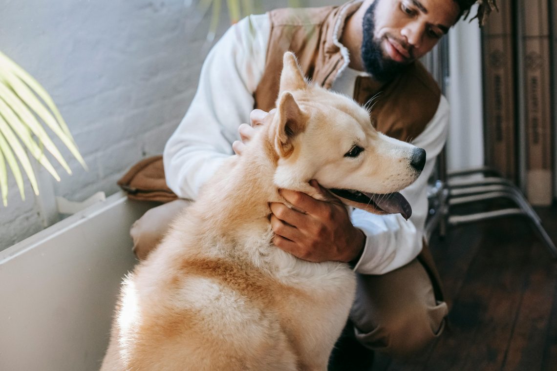 Dogs are helping people regulate stress even more than expected, research shows