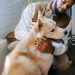 Dogs are helping people regulate stress even more than expected, research shows